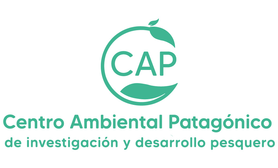 Logo CAPIDP